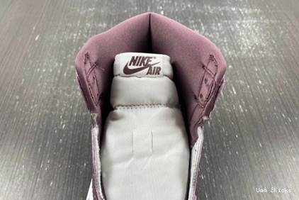 Retro 8885  1 Compact OG Jordan Sky 125 DZ5485- Mauve High J 0818